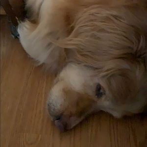 Meet your Posher, Noell